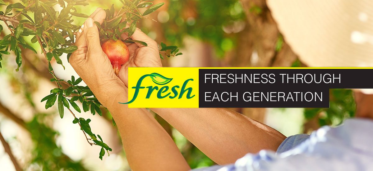 Freshness Through Each Generation