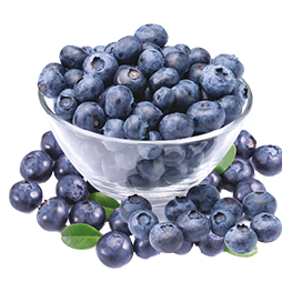 Sweet Blueberries ´´High in Antioxidants´´